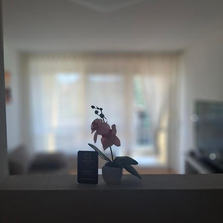 Ferienwohnung Shirin Rust Bagian luar foto