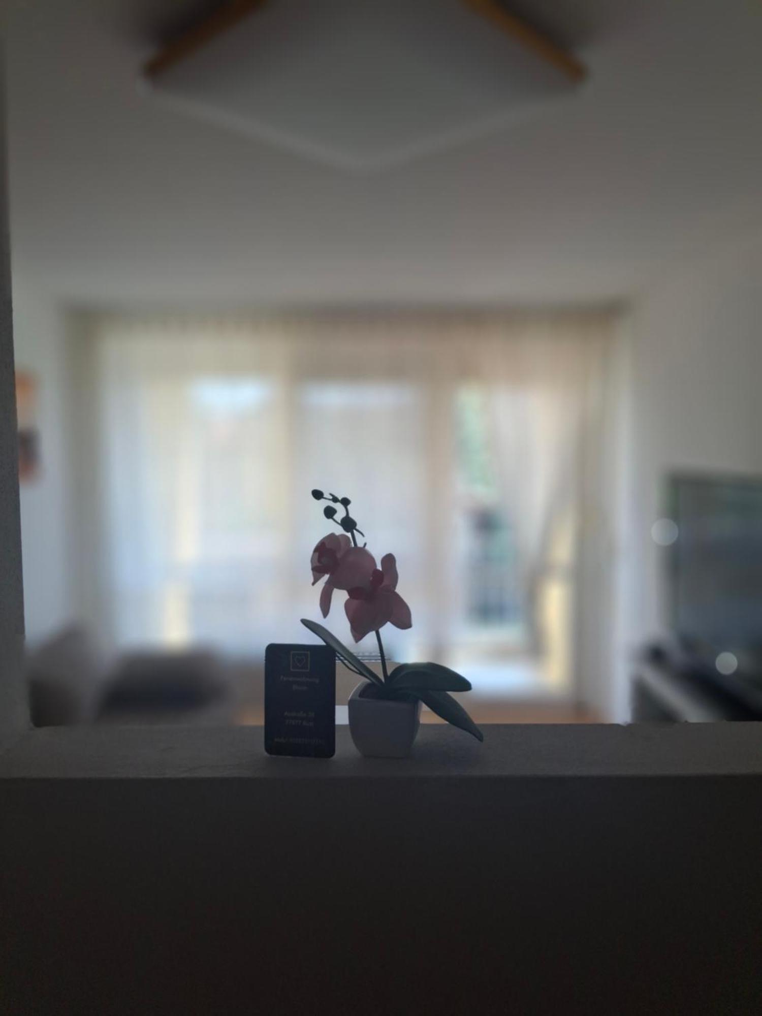 Ferienwohnung Shirin Rust Bagian luar foto